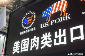 Pasturage is early on May 17 news: China cancels pork of 3247 tons of United States to import order