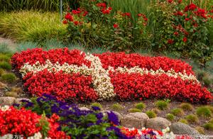 Be apt to is person person not fierce, battle of b