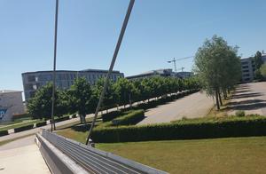 The one big characteristic of area of garden of SAP Germany headquarters: Bicycle park ground