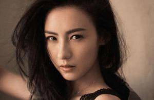 Real hammer into shape of essence of Zhang Baizhi 