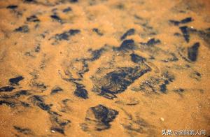 Qingdao silver-colored beach has unidentified Hei 