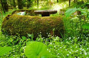 This beauty spot once prosperous temporarily, nowa