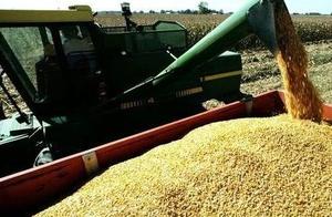 Policy | Summer grain crops bought an announcement
