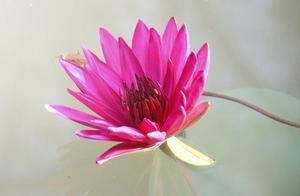 The person that loves greatly, see with disappear 