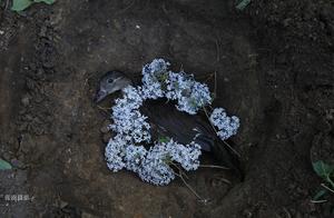 Lose a partner lone female an affectionate couple meets with one after another enroach on, pa of Yua