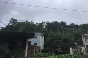 7 years old male child murder by hall elder brother 