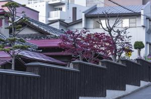 Hokkaido is more than it is Xue Jing, colourful Ho