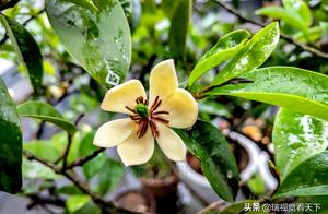 World name spends Chu Xia to leave, when leaving, 