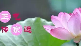 我們班的故事作文600字