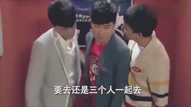 报春晖是什么