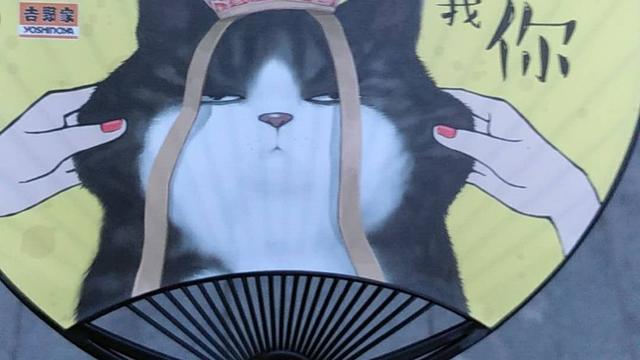 微观经济学消费者理论是什么
