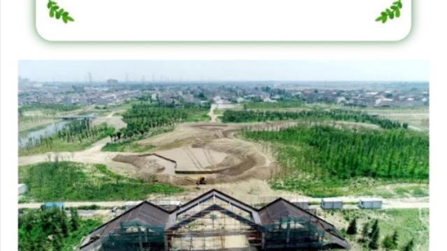 想知道:泰州市泰興市公園新村在哪