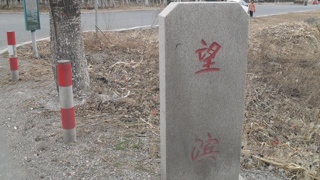沈阳新城子区是个什么样的地方