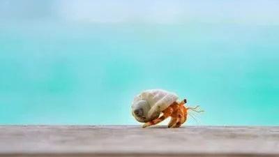 寓意深刻的小故事!!