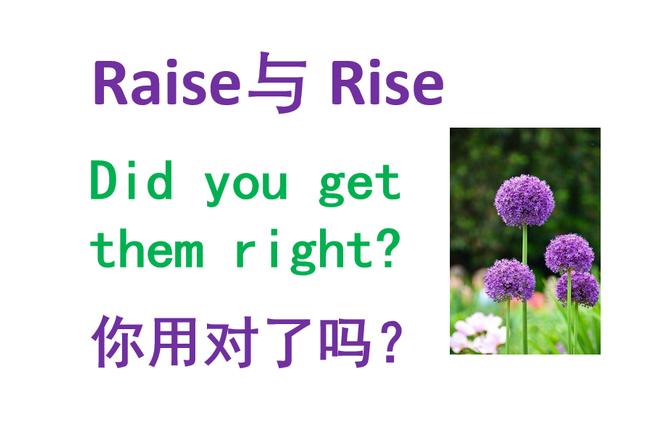 rise和raise的区别？