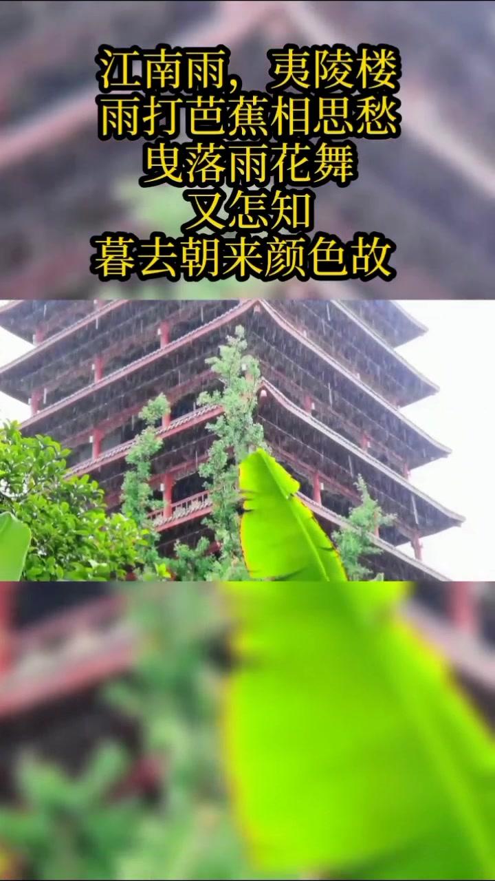 江南雨 #相思愁 江南雨,夷陵樓雨打芭蕉相思愁曳落雨花舞又怎知暮去