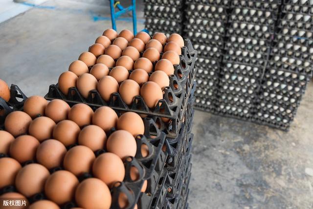 关于鸡蛋的存放,鸡蛋放在冰箱里久了,蛋黄凝固了,营养会破坏吗