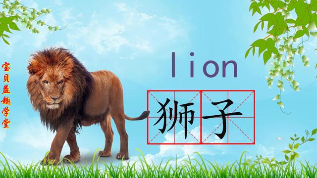 狮子的英语单词怎么写图片