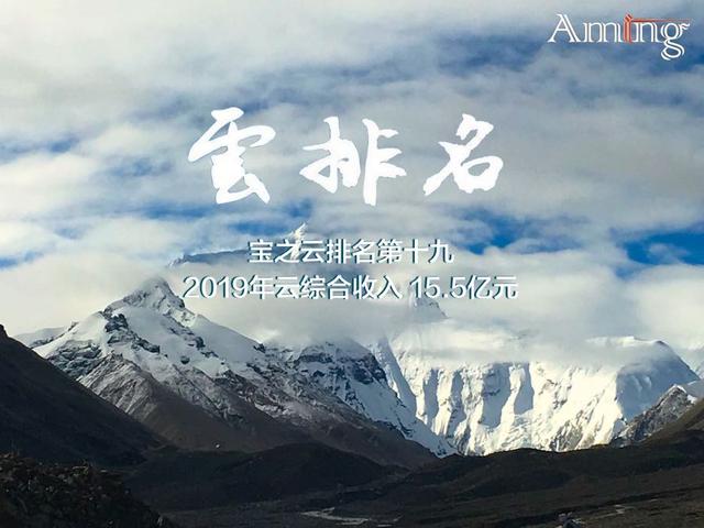 宝之云排名第十九，2019年云综合收入15.5亿元