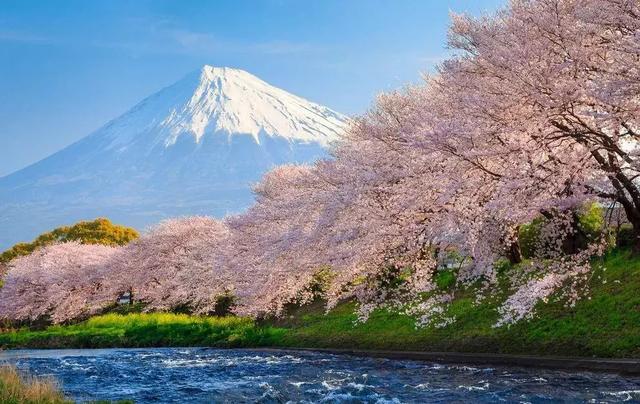 盘点日本红日子!看完只想说"太羡慕了"