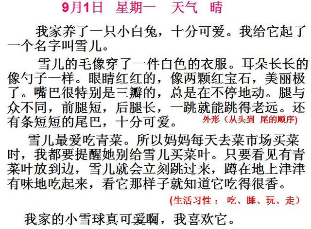 写日记 习作指导例文 跟我学语文