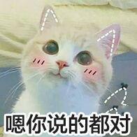 外汇黄金作手 盘面涨跌的底层逻辑10-涨跌在人心