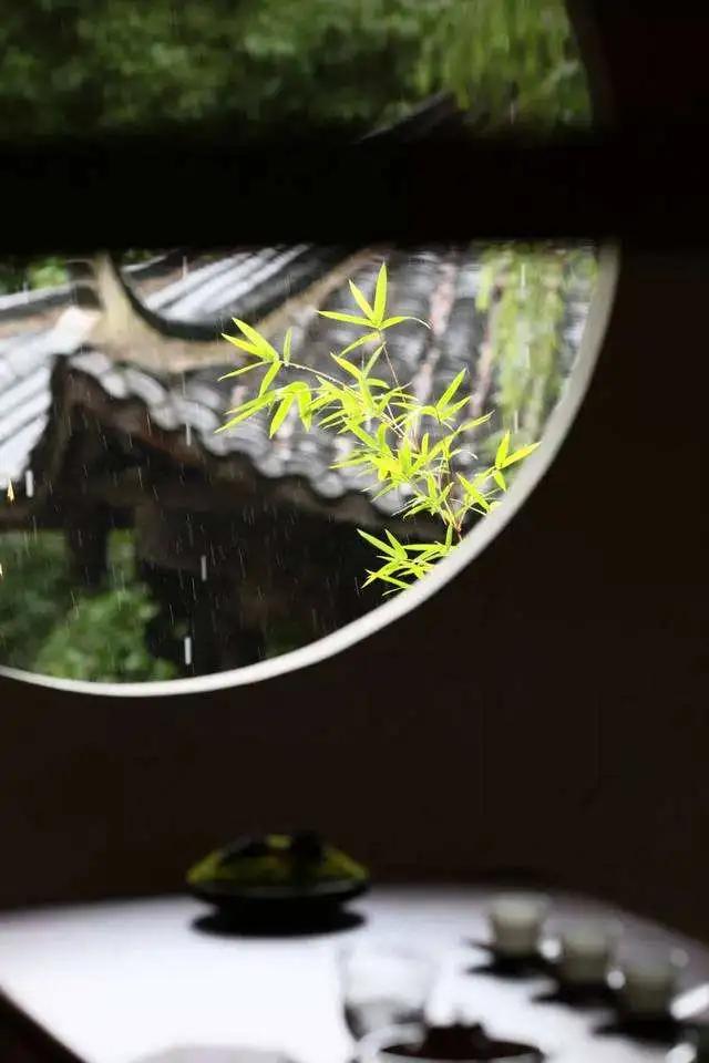 庭有枇杷亭亭如盖