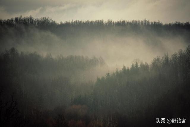 各位前辈 夜钓水库水面起雾气 还能坚持钓鱼吗 对钓鱼有没有影响 爱游钓鱼网