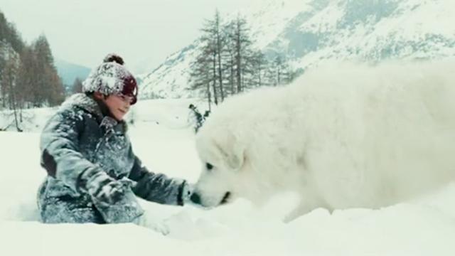 灵犬雪莉电影视频在线观看 西瓜视频