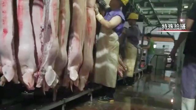 肉联厂流程(肉联厂怎么批发猪肉)