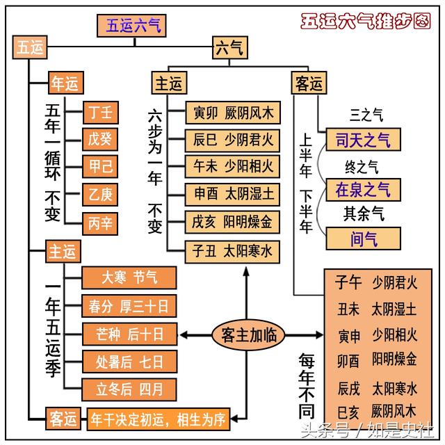 丁壬合化木喜逢寅图片