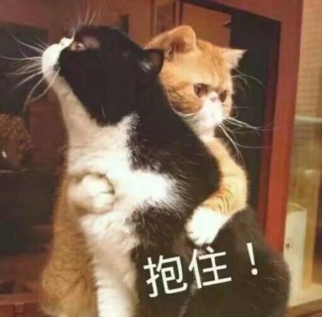 恋情被曝光，却没有人骂他？