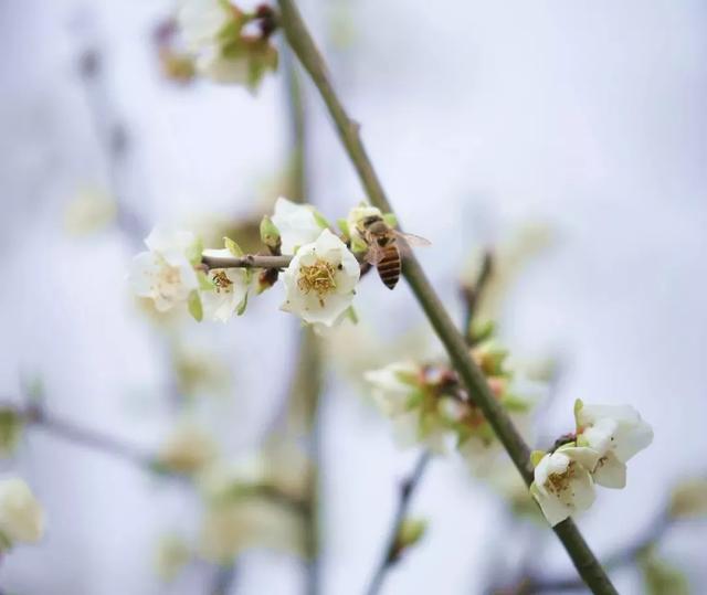 2020年上半年东莞市G_东莞市地图(2)