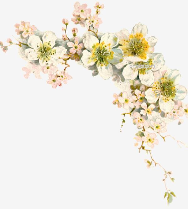 花卉春天花png搜索网 精选免抠素材 透明png图片分享下载 Pngss Com
