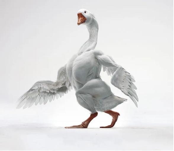 幽默平面广告是指以图形创意形式为传播载体的一种广告方式,其极具