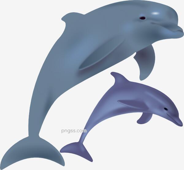 海豚卡通png搜索网 精选免抠素材 透明png图片分享下载 Pngss Com