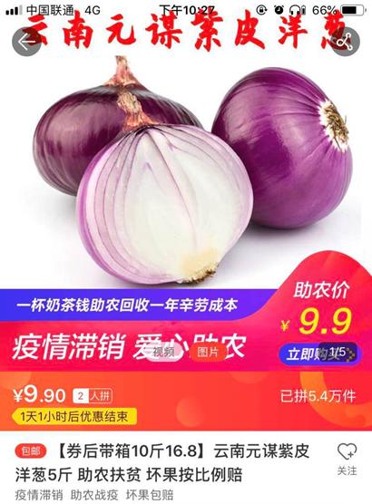 天天快递昆明爱心助农 百万斤元谋滞销洋葱摆上百姓餐桌