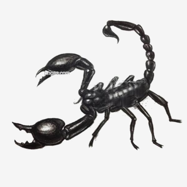 画卡通png搜索网 精选免抠素材 透明png图片分享下载 Pngss Com