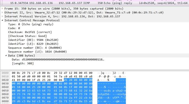 ICMP隧道通信原理与通信特征-第15张图片-网盾网络安全培训