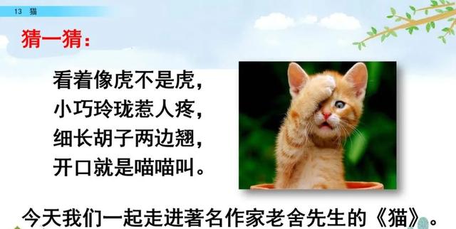 猫生字拼音组词等知识点归类预习及练习