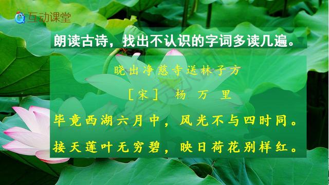 古詩二首曉出淨慈寺送林子方絕句教學內容預習課文朗讀生字學習課件