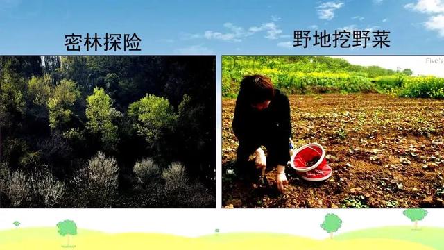 图片[5]-部编语文三年级下册口语交际春游去哪儿玩范文-跟我学语文