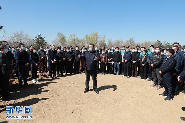 习近平参加首都义务植树活动强调 打造青山常在绿水长流空气常新美丽(图4)