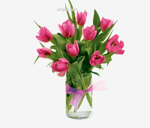 花瓶中的花png搜索网 精选免抠素材 透明png图片分享下载 Pngss Com