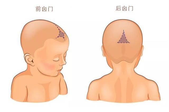 囟門什麼時候閉合(2歲8個月前滷門沒閉合)