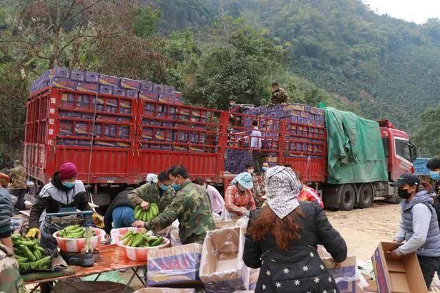 这20个防疫故事里，藏着14亿人的爱与泪-锋巢网