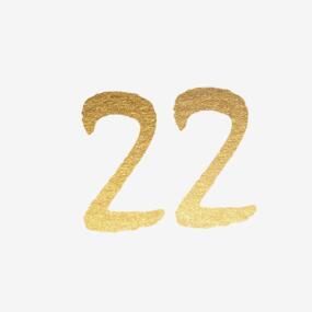金色闪亮耀眼炫酷华丽数字22png搜索网 精选免抠素材 透明png图片分享下载 Pngss Com