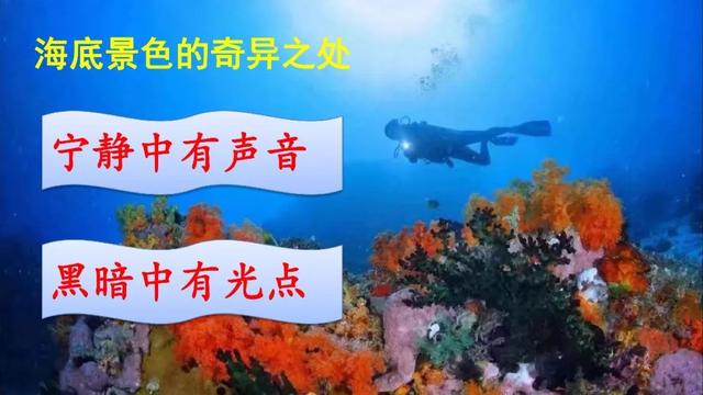 海底世界教学内容ppt课件图片预习