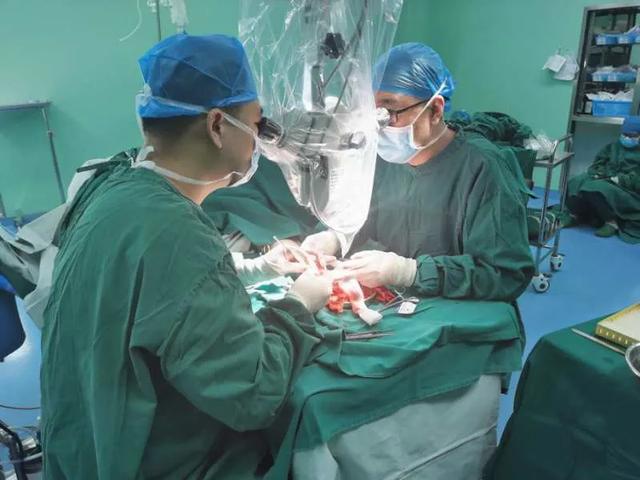 蓟州区人民医院成功实施断指再植手术，手指奇迹「复活」