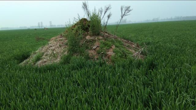 什么时候添坟(坟墓添土有时间规定吗)